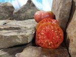 Rosalies Big Rosy Tomato Large Tomatoes
