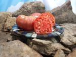 Rosalies Big Rosy Tomato Seeds