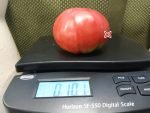 Rosalies Big Rosy Tomatoes