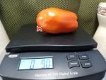 Sandy Big Paste Tomato Seeds
