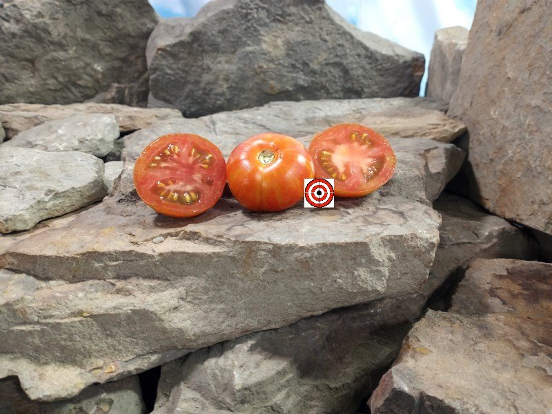 Searching For Blue Zebra Tomato