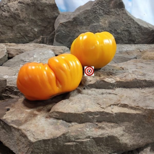 Serdste Ashkabada Tomato