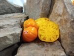 Serdste Ashkabada Tomato Seeds