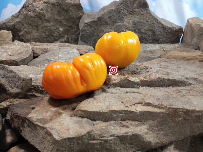 Serdste Ashkabada Tomato