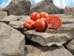 Serdste Ashkhabada Beefsteak Version Tomato Red Tomatoes