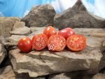 Serdste Ashkhabada Beefsteak Version Tomato Seeds