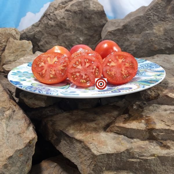Serdste Ashkhabada Turkmenistan Beefsteak Version Tomato