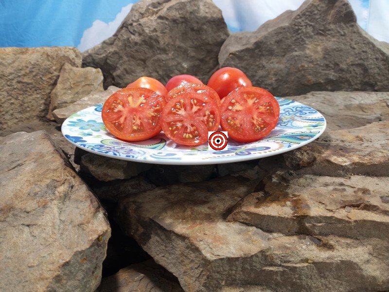 Serdste Ashkhabada Turkmenistan Beefsteak Version Tomato