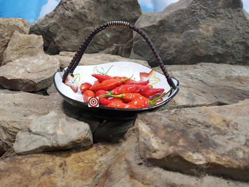 Serpent Rojo Pepper Fresh Eating Peppers Serpent Rojo Pepper Fresh Eating Peppers