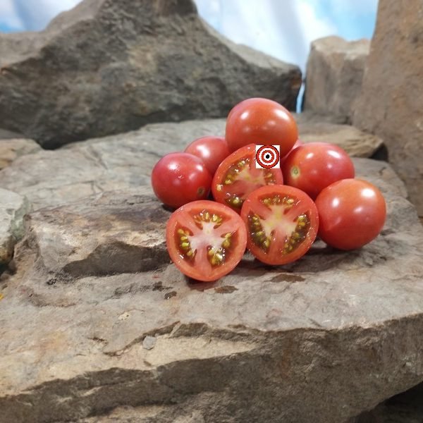 Shimofuri Tomato