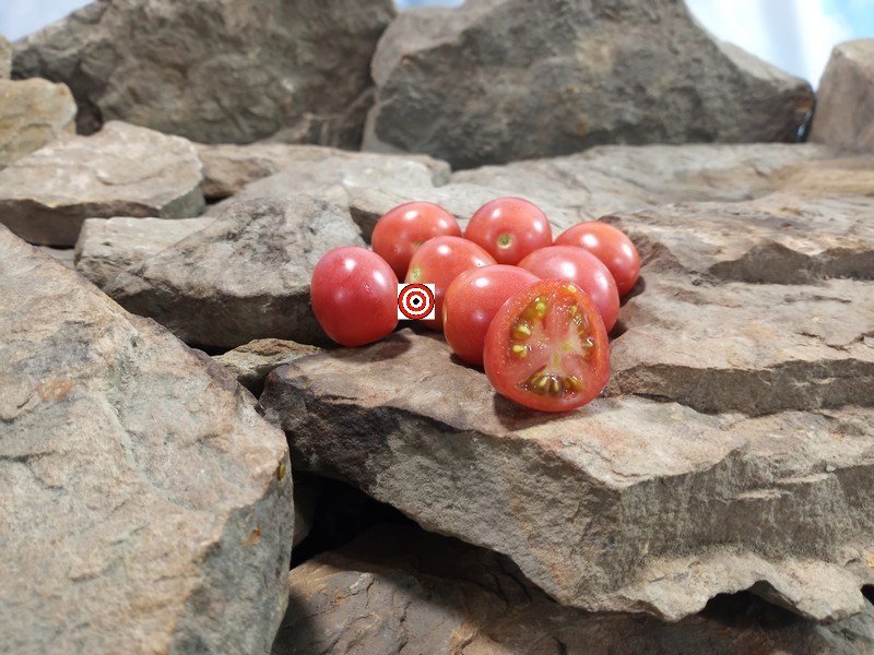 Shimofuri Tomato Seeds Shimofuri Tomato Seeds