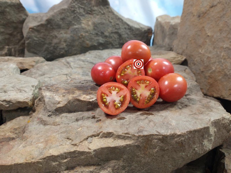 Shimofuri Tomato