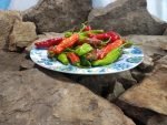 Shishito Pepper Stir Fry Peppers