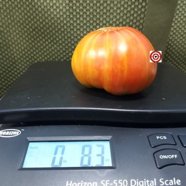 Solar Eclipse Tomato