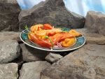 Sugar Rush Stripey Pepper Hot Peppers