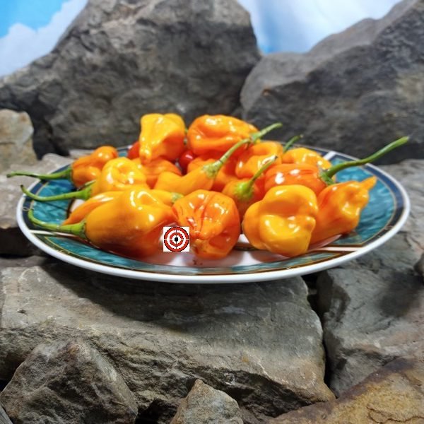 Tangerine Tiger Pepper