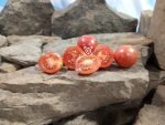 Teachers Apple Tomato