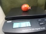 Teachers Apple Tomato Cherry Tomatoes