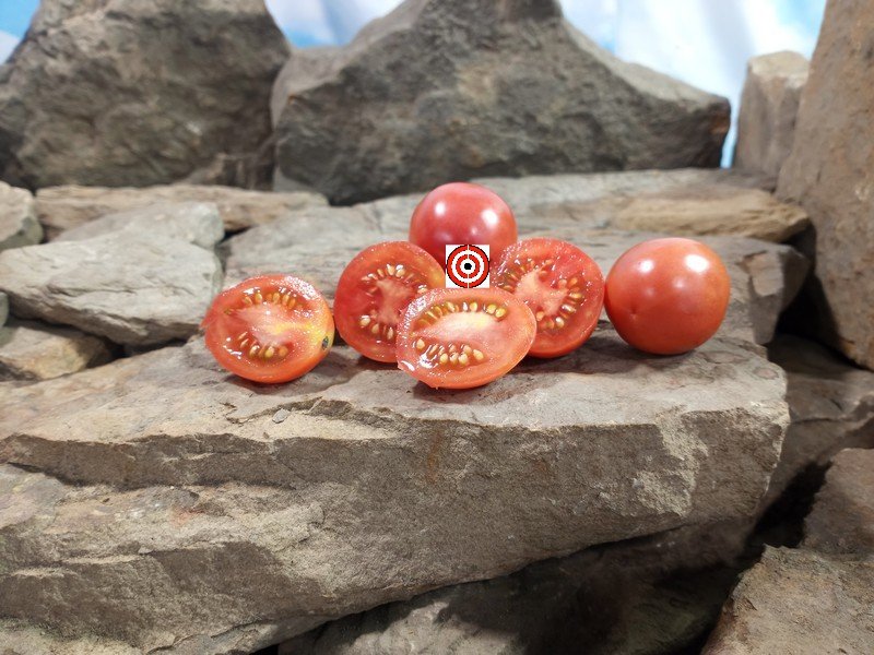 Teachers Apple Tomato