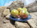 Texkan Sweetheart Tomato Oxheart Tomatoes