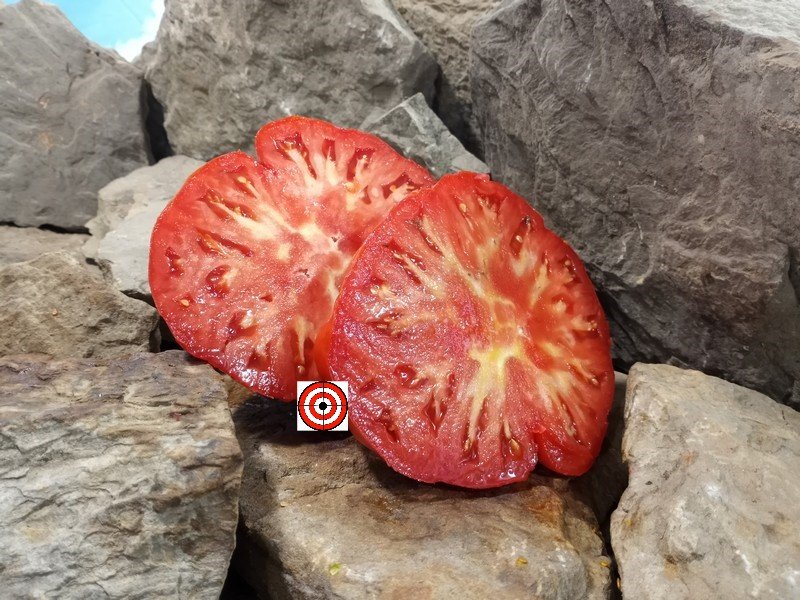 The Best Sandwich Tomato Dolmac Dolenjski Tomato Seeds Available Here.