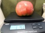 Toms Red Slicing Tomatoes