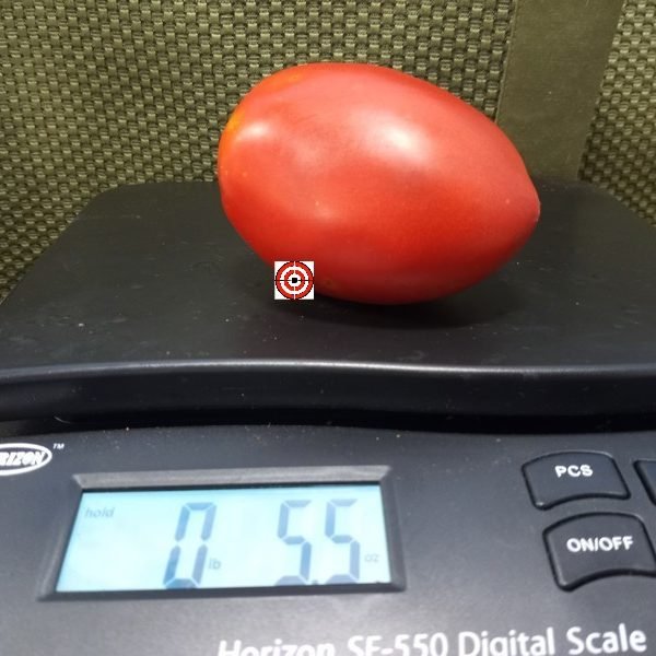 Totz Holy Paste Tomato