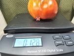 Totz Holy Paste Tomato Canning Tomatoes