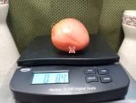 Totz Holy Paste Tomato Elongated Tomatoes