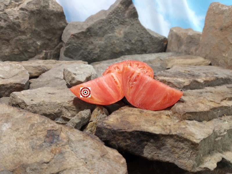 Totz Holy Paste Tomato Seeds Totz Holy Paste Tomato Seeds