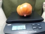 Traceys Cane Break Old Farm Pink Tomato Large Tomatoes
