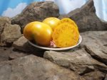 West Virginia Yellow Tomato