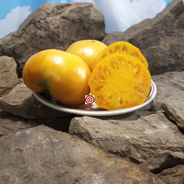 West Virginia Yellow Tomato