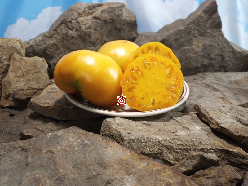 West Virginia Yellow Tomato