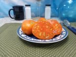 Wildling Panamorous Tomato