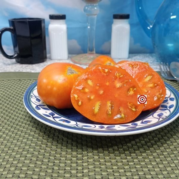 Wildling Panamorous Tomato