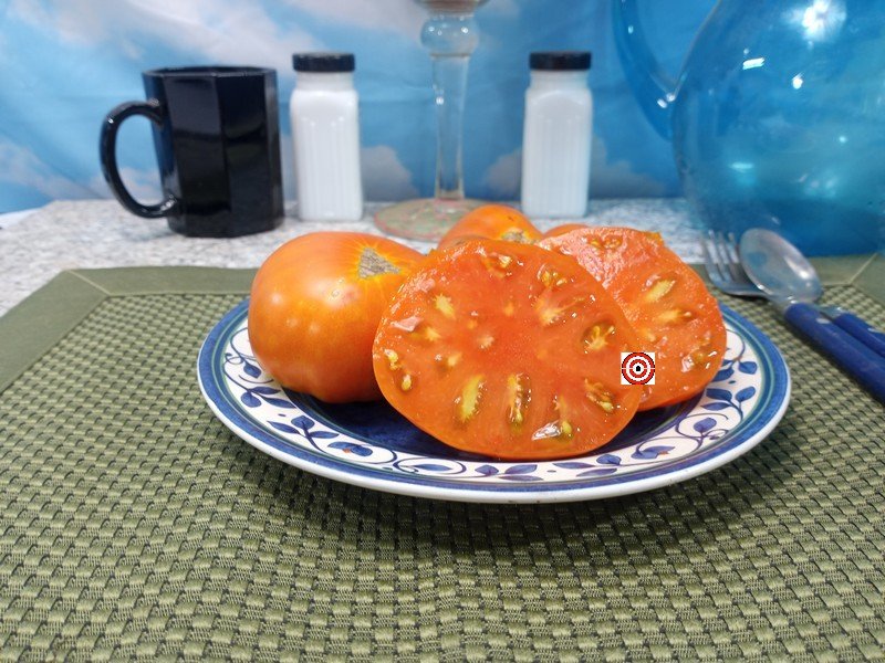 Wildling Panamorous Tomato