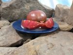 Wingo Wonder Tomato Sandwich Tomatoes
