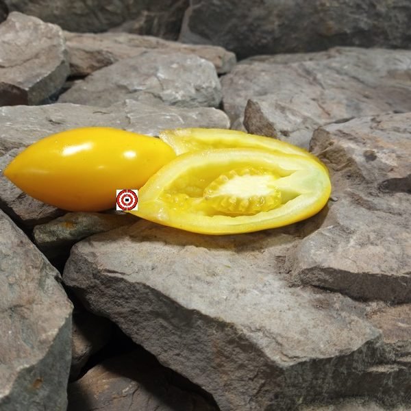 Zolotaya Rybka Tomato