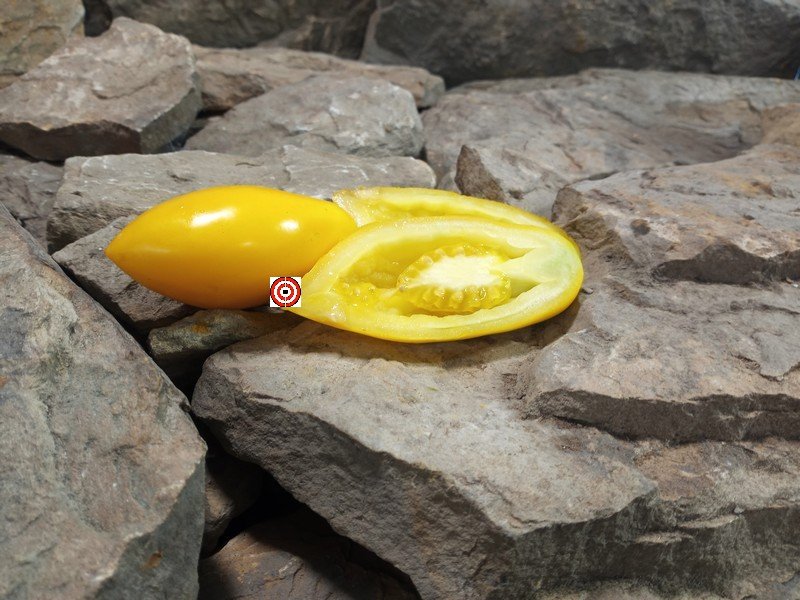 Zolotaya Rybka Tomato