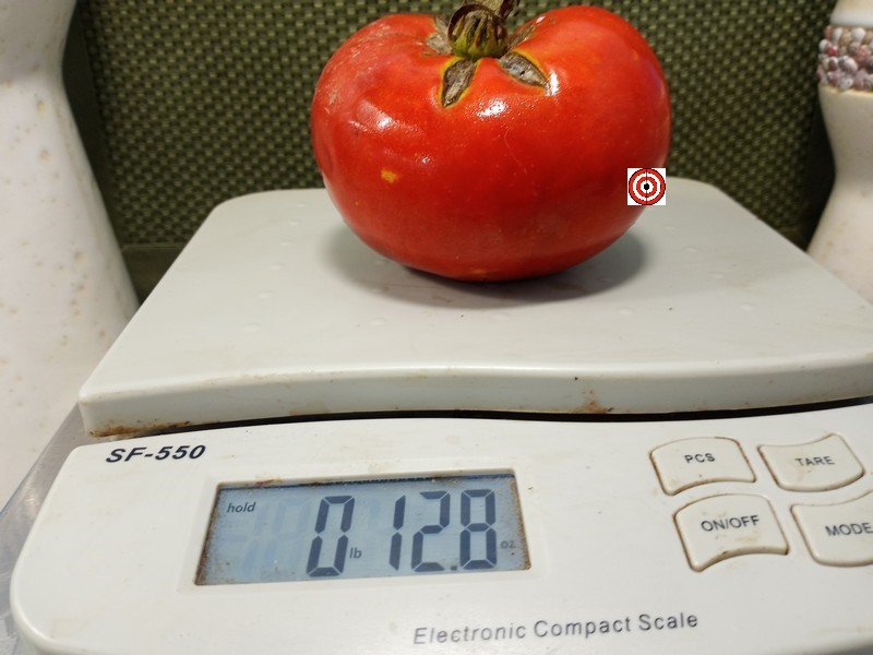 A Popular Beefsteak Tomato Delicious Tomato Seeds Available Here.