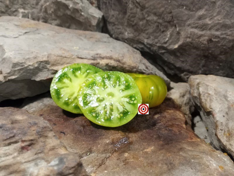 A Popular Blane Horton Tomato Dwarf Delta Moss Tomato Seeds For Sale Here.