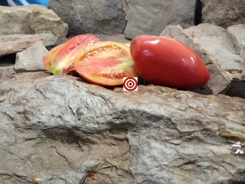 A Popular Canning Tomato Donkey Ears Tomato Seeds For Sale Here.