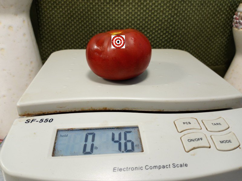 A Popular Container Garden Tomato Dwarf Crimson Sockeye Tomato Seeds For Sale Here.