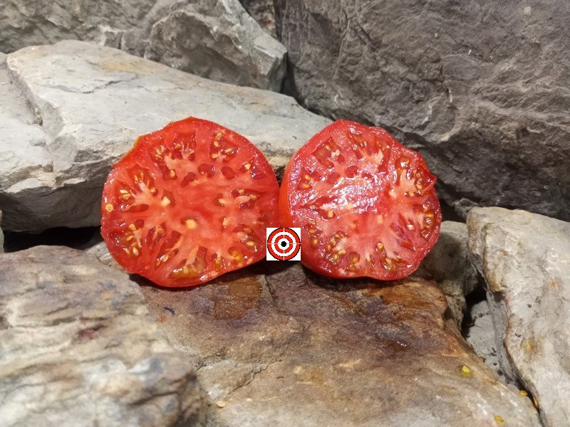A Popular Container Tomato Coastal Pride Red Dwarf Tomato Seeds For Sale Here.