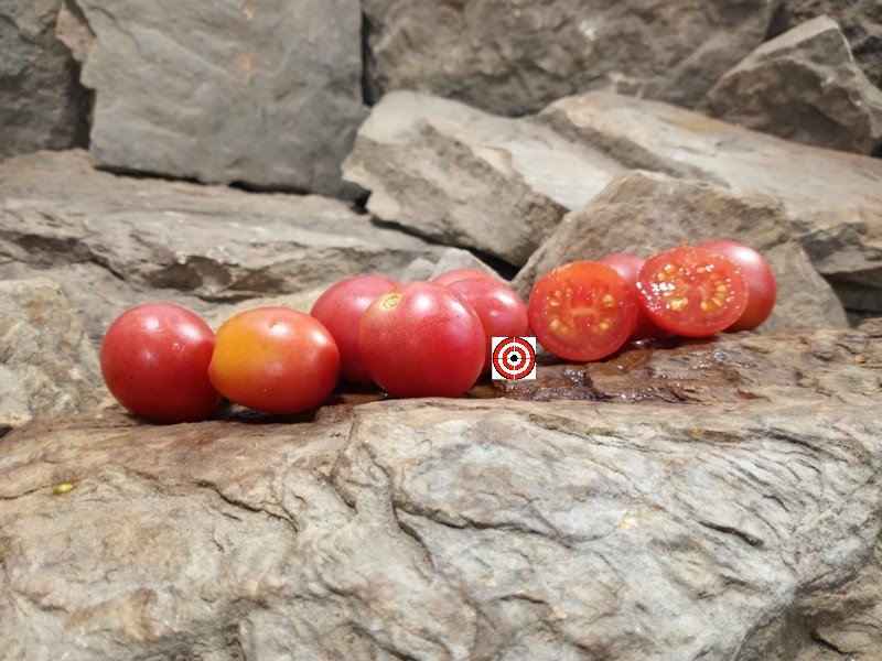 A Popular Container Tomato Dwarf Bendigo Dawn Tomato Seeds For Sale Here.