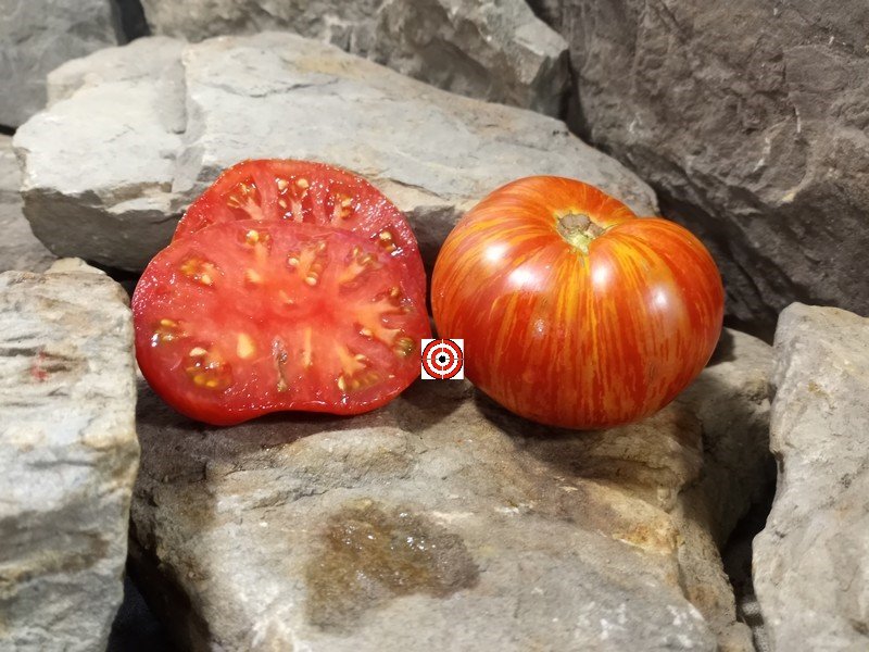 A Popular Dwarf Tomato Beauty King Dwarf Tomato Seeds For Sale Here.