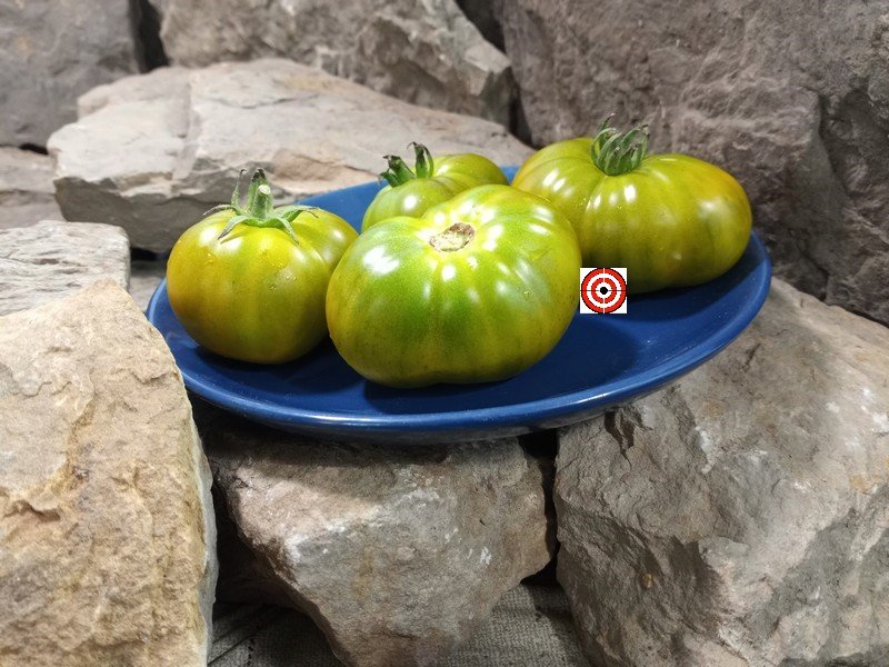 A Popular Dwarf Tomato Dwarf Amys Ohio Tomato Seeds For Sale Here.