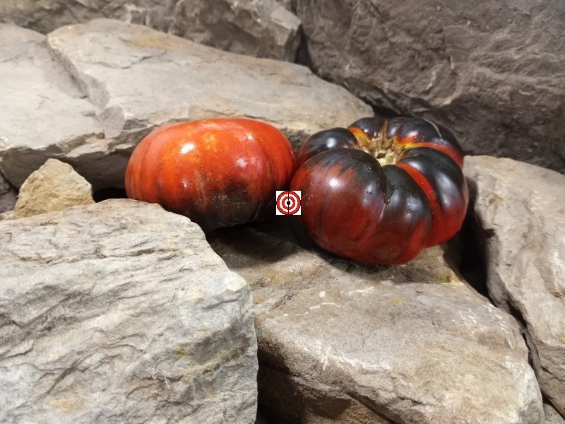 A Popular Dwarf Tomato Dwarf Blue Tomato Seeds For Sale Here.