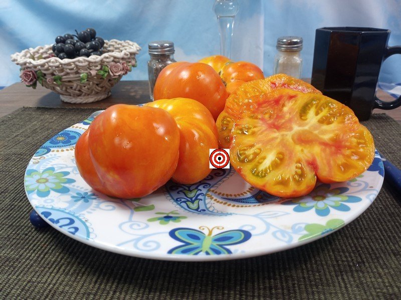 A Popular Dwarf Tomato Dwarf Boyd Smith Tomato Seeds For Sale Here.